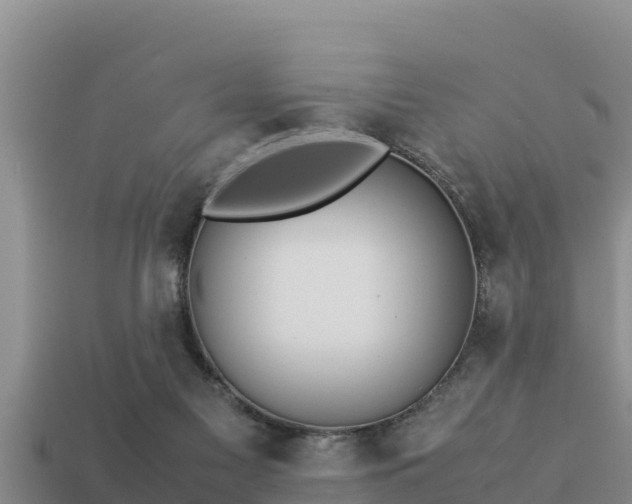 X0000113210117200909171542