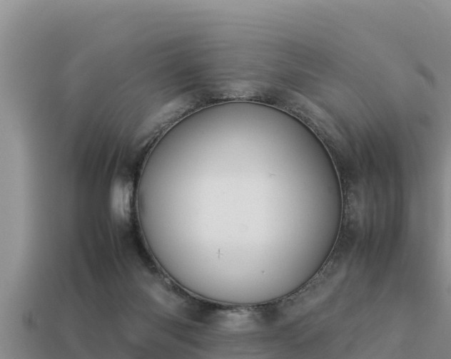 X0000113210118200909171542