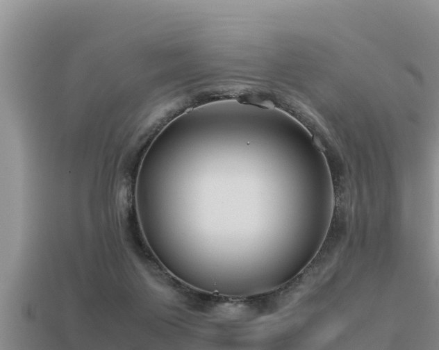 X0000113210119200909171542