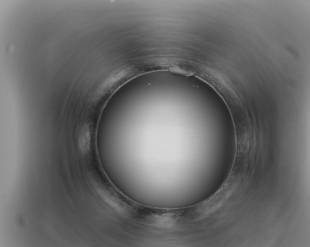 X0000113210120200909171542