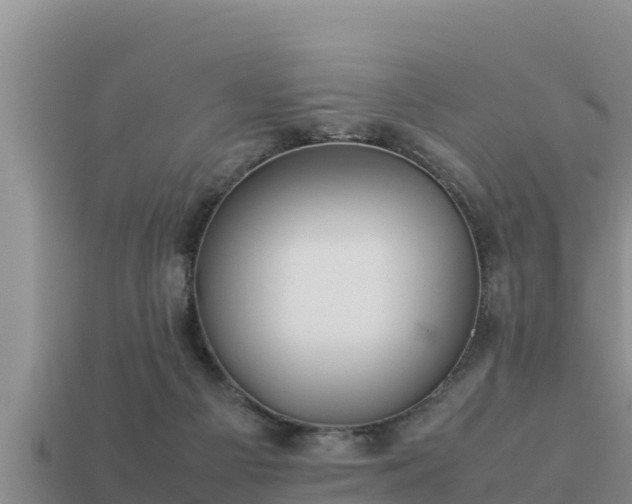 X0000113210121200909171542