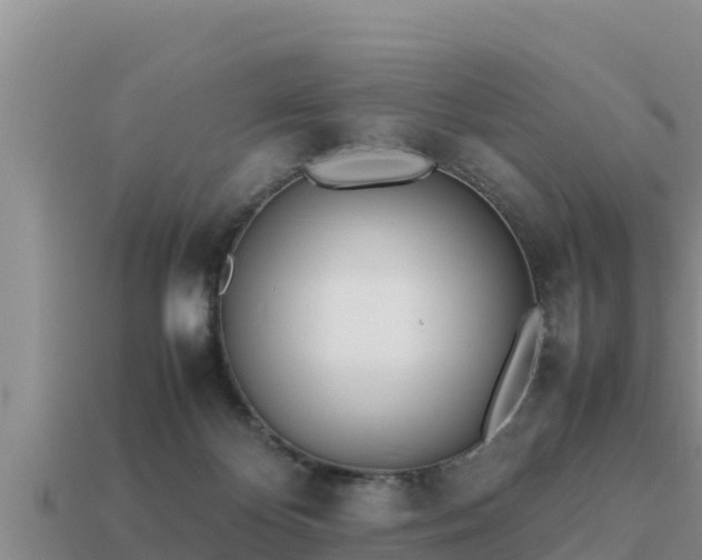 X0000113210124200909171542