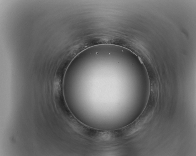 X0000113210127200909171542