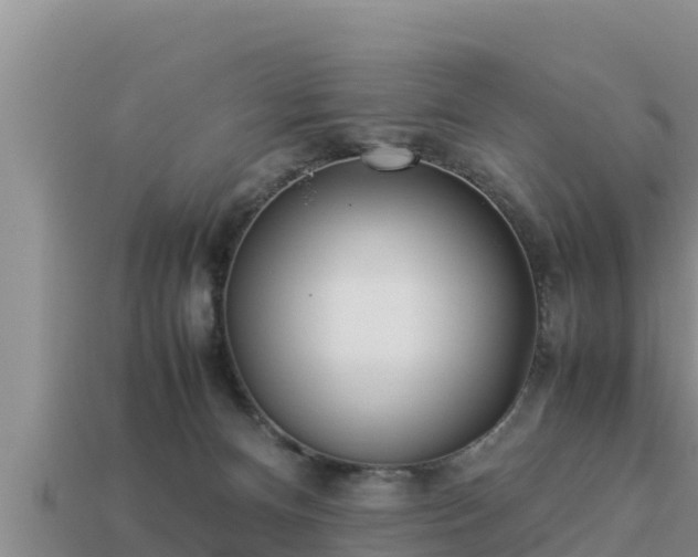 X0000113210128200909171542