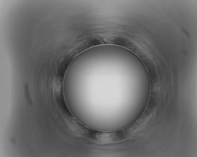 X0000113210129200909171542