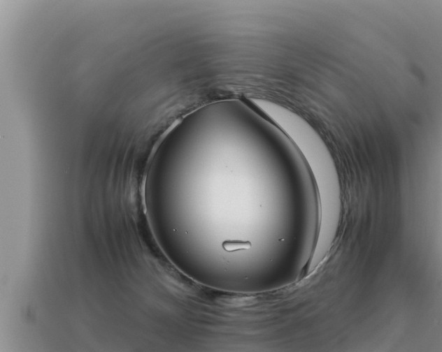 X0000113210132200909171542