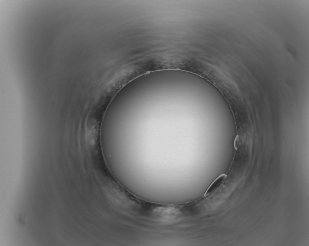 X0000113210133200909171542