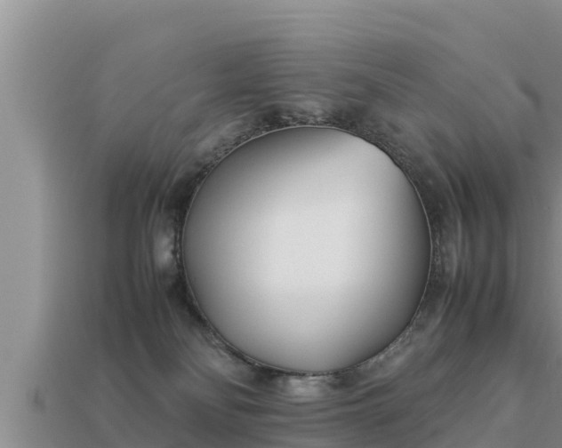 X0000113210134200909171542