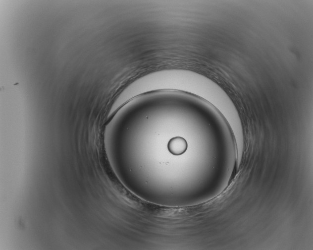 X0000113210136200909171542