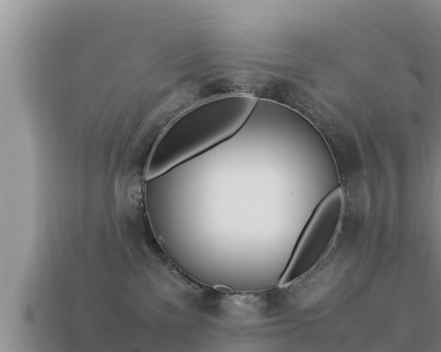 X0000113210137200909171542