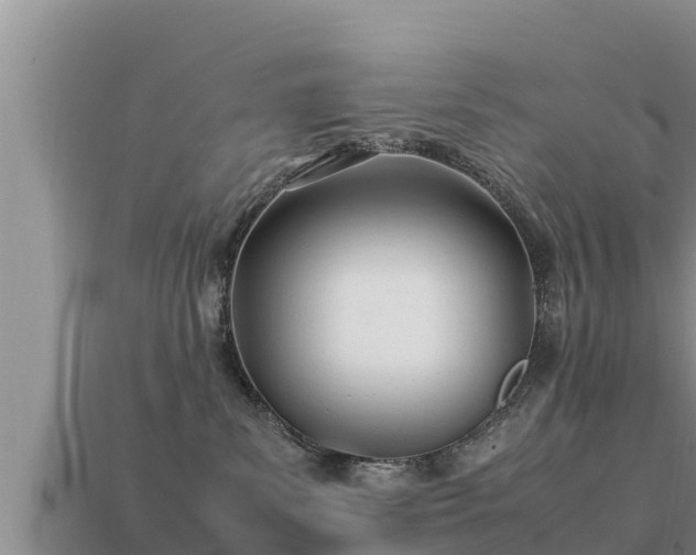 X0000113210139200909171542