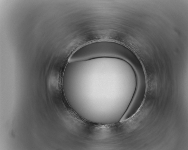 X0000113210140200909171542