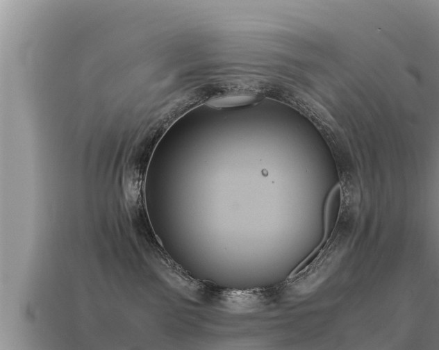 X0000113210141200909171542