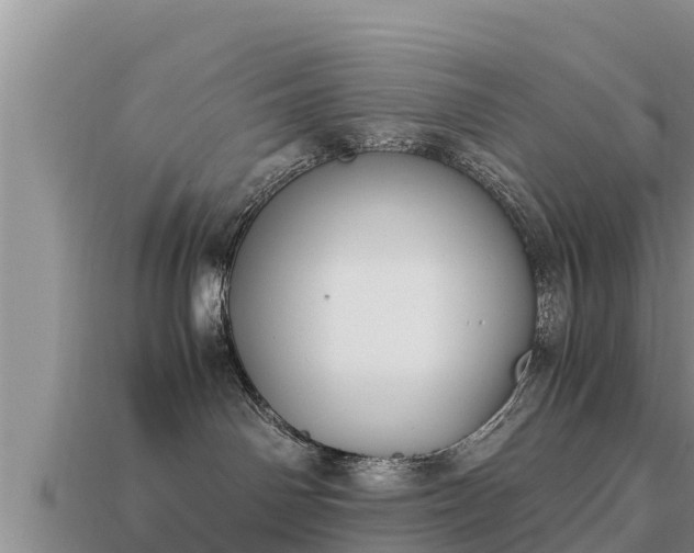 X0000113210142200909171542