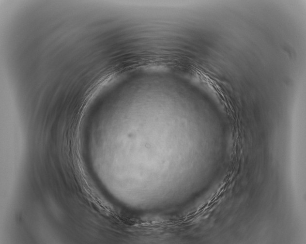 X0000113210145200909171541