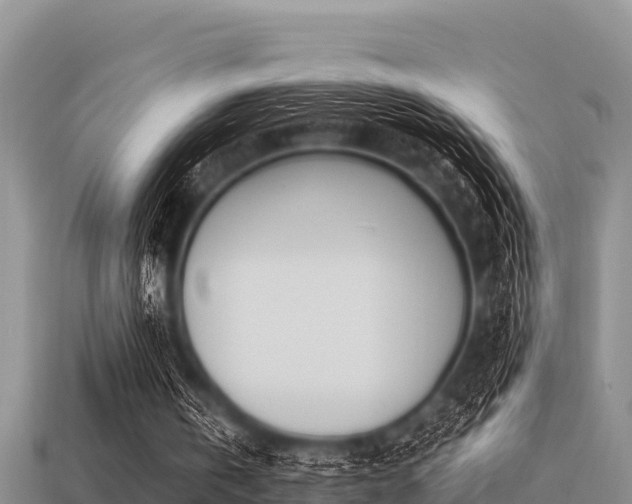 X0000113210146200909171541