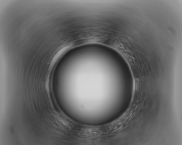 X0000113210147200909171541