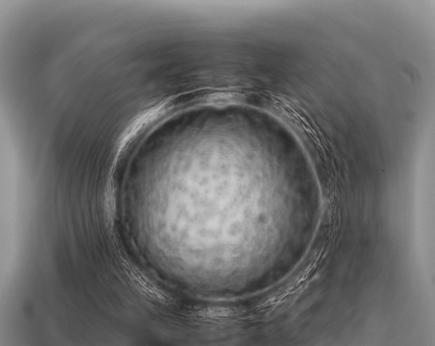 X0000113210149200909171541