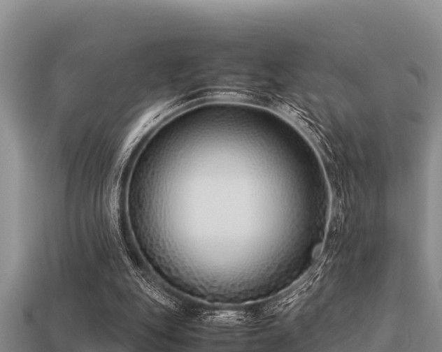 X0000113210151200909171541