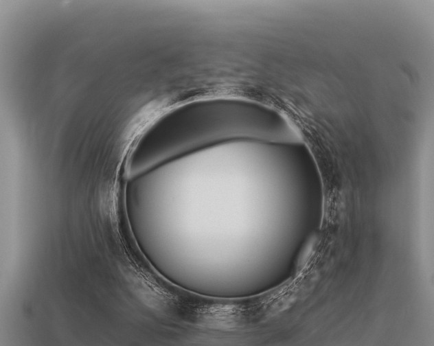 X0000113210152200909171541