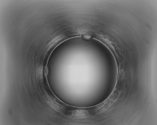 X0000113210154200909171541