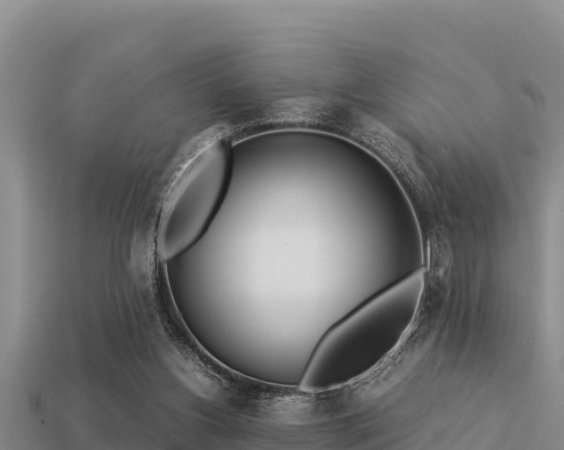 X0000113210156200909171541