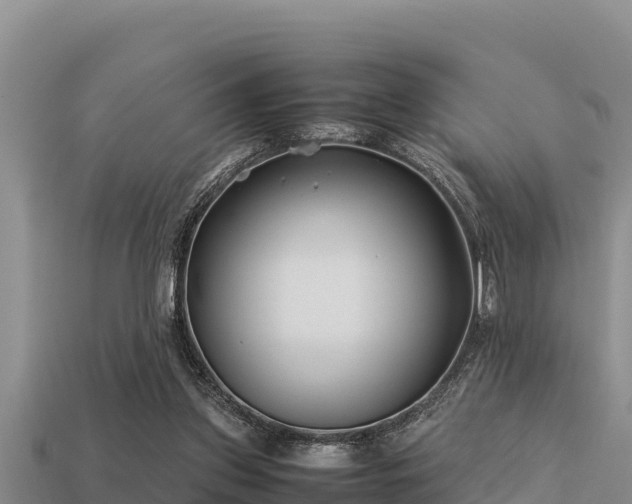 X0000113210157200909171541