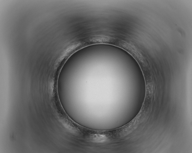 X0000113210159200909171541