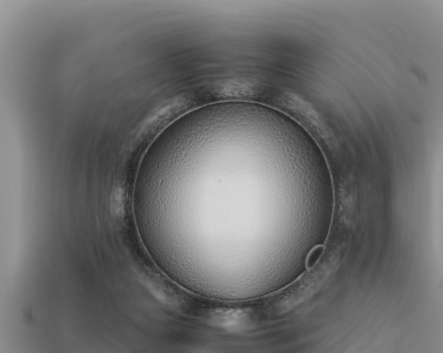 X0000113210161200909171541