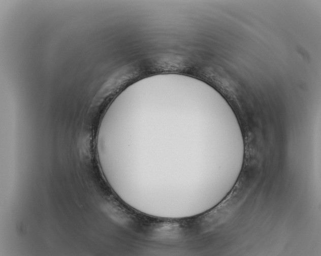 X0000113210162200909171541