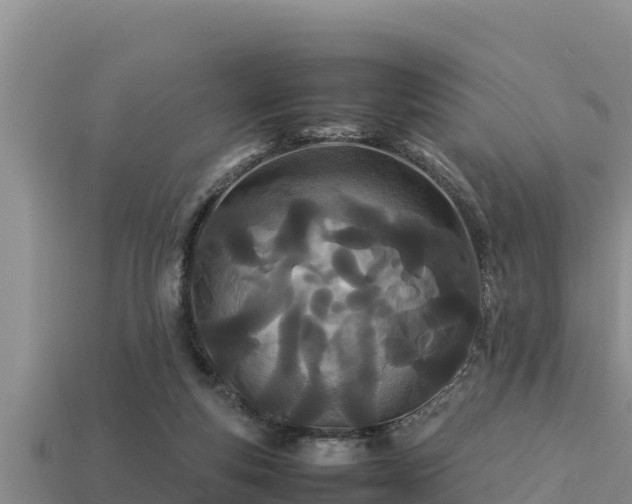 X0000113210163200909171541