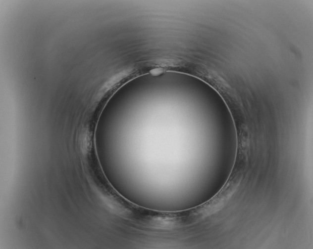 X0000113210164200909171541