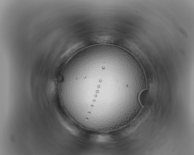 X0000113210165200909171541