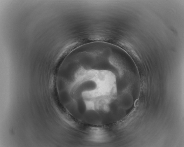 X0000113210167200909171542