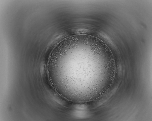 X0000113210169200909171542