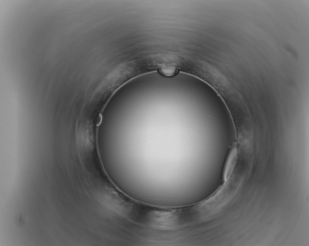 X0000113210170200909171542