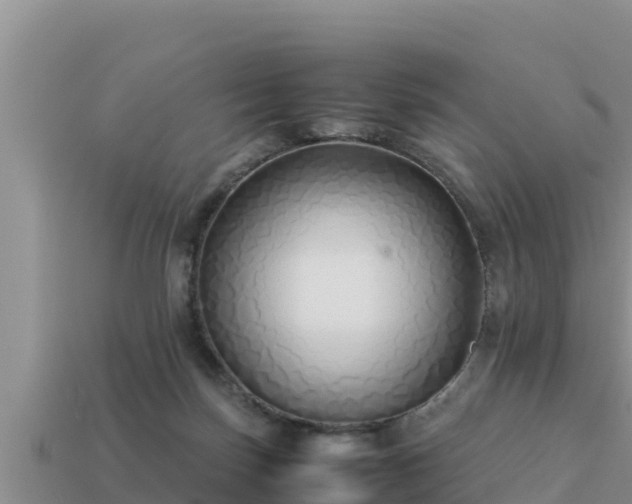 X0000113210171200909171542