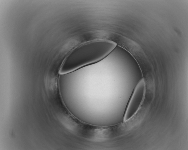 X0000113210172200909171542