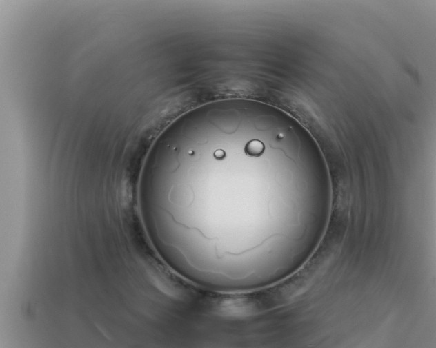 X0000113210173200909171542