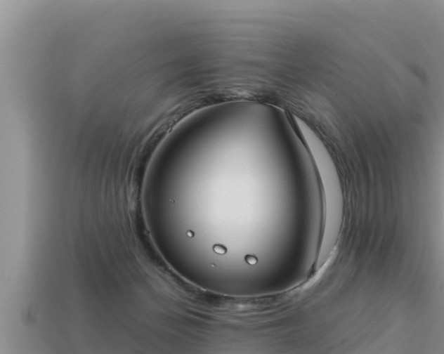 X0000113210174200909171542