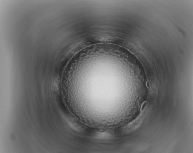 X0000113210175200909171542