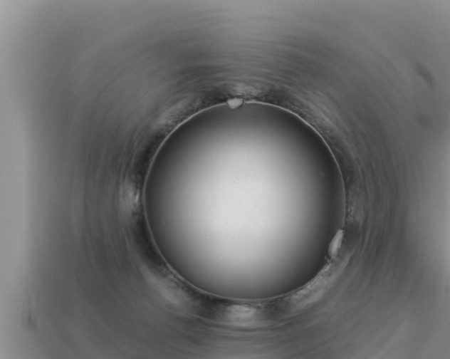 X0000113210176200909171542