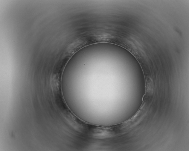 X0000113210179200909171542