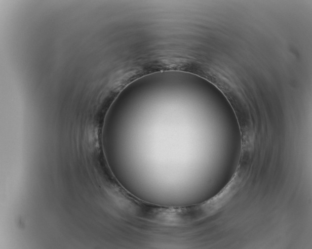 X0000113210182200909171542