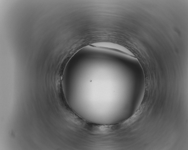 X0000113210184200909171542