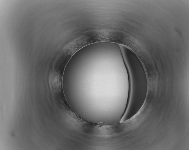 X0000113210186200909171542