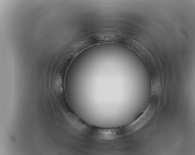 X0000113210187200909171542