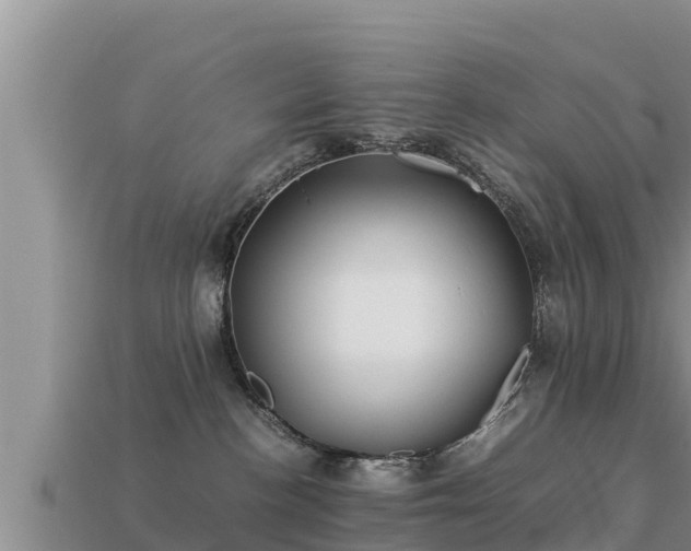 X0000113210188200909171542