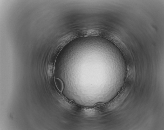 X0000113210189200909171542