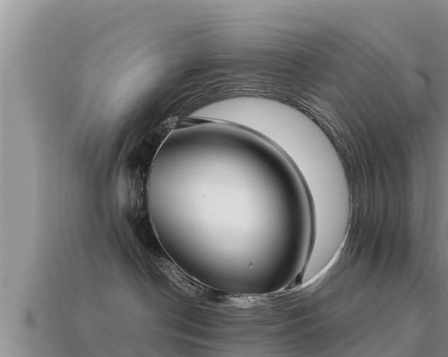 X0000113210190200909171542